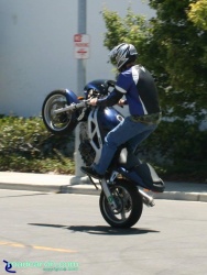 Suzuki SV650 - Standup Wheelie